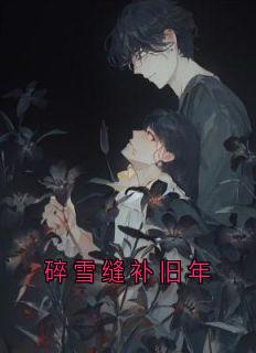 碎雪缝补旧年