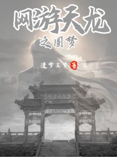 网游天龙之圆梦